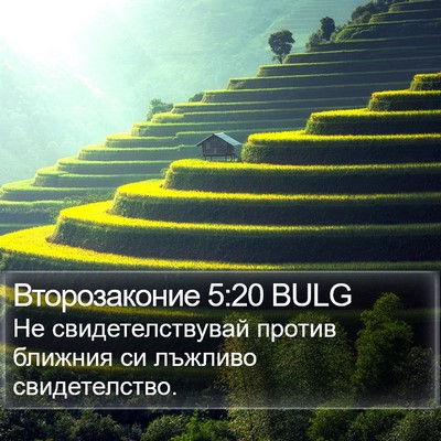 Второзаконие 5:20 BULG Bible Verse Image