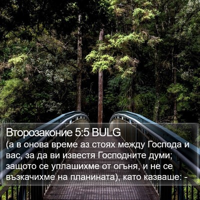 Второзаконие 5:5 BULG Bible Verse Image
