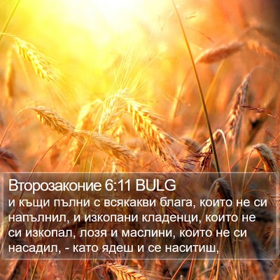 Второзаконие 6:11 BULG Bible Verse Image