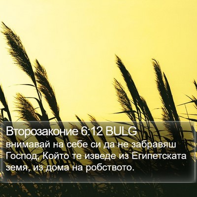 Второзаконие 6:12 BULG Bible Verse Image