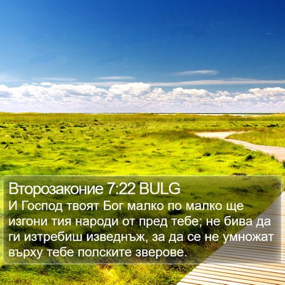 Второзаконие 7:22 BULG Bible Verse Image