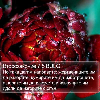 Второзаконие 7:5 BULG Bible Verse Image
