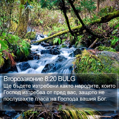Второзаконие 8:20 BULG Bible Verse Image
