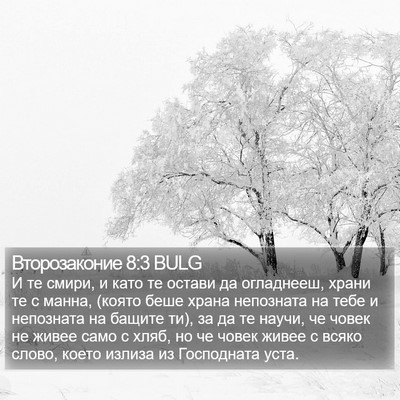 Второзаконие 8:3 BULG Bible Verse Image