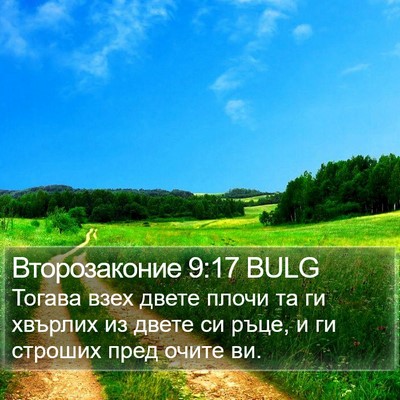 Второзаконие 9:17 BULG Bible Verse Image