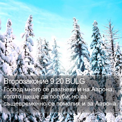 Второзаконие 9:20 BULG Bible Verse Image