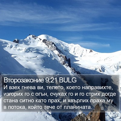 Второзаконие 9:21 BULG Bible Verse Image