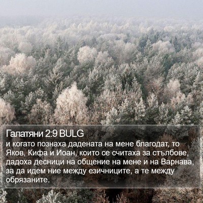 Галатяни 2:9 BULG Bible Verse Image