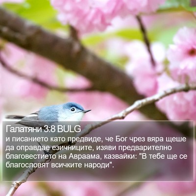 Галатяни 3:8 BULG Bible Verse Image