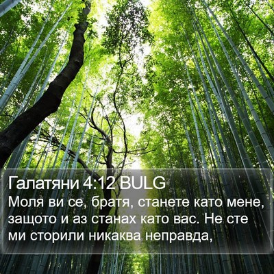 Галатяни 4:12 BULG Bible Verse Image