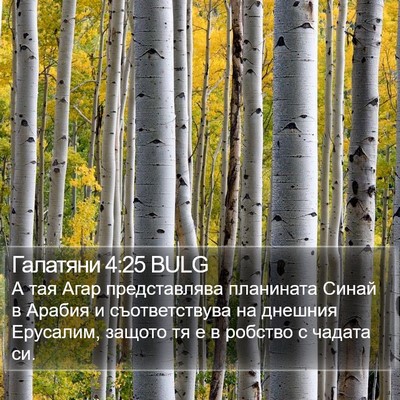 Галатяни 4:25 BULG Bible Verse Image