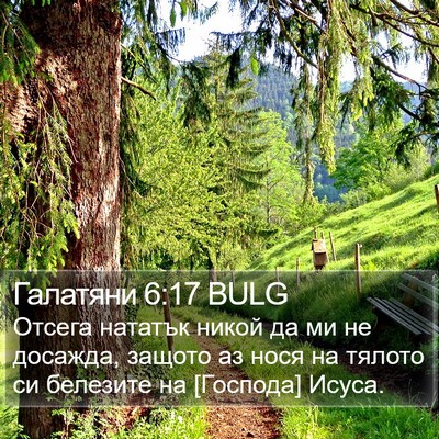 Галатяни 6:17 BULG Bible Verse Image