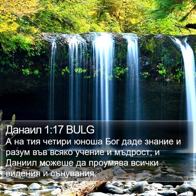 Данаил 1:17 BULG Bible Verse Image