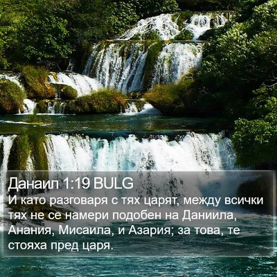 Данаил 1:19 BULG Bible Verse Image