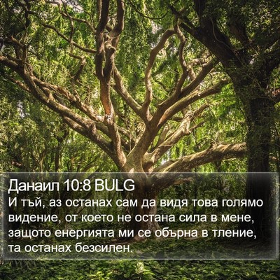 Данаил 10:8 BULG Bible Verse Image