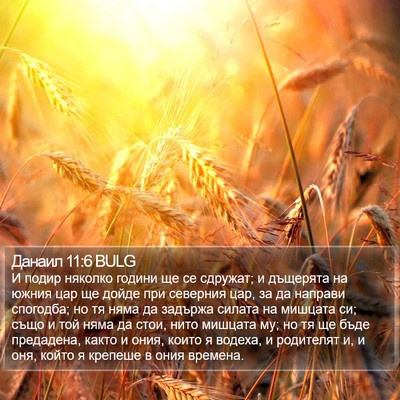 Данаил 11:6 BULG Bible Verse Image
