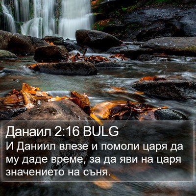 Данаил 2:16 BULG Bible Verse Image