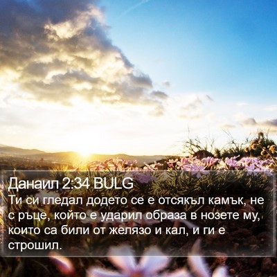 Данаил 2:34 BULG Bible Verse Image