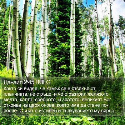 Данаил 2:45 BULG Bible Verse Image