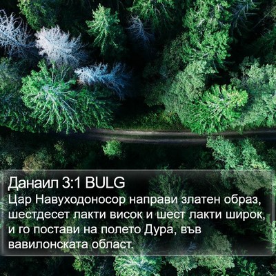 Данаил 3:1 BULG Bible Verse Image