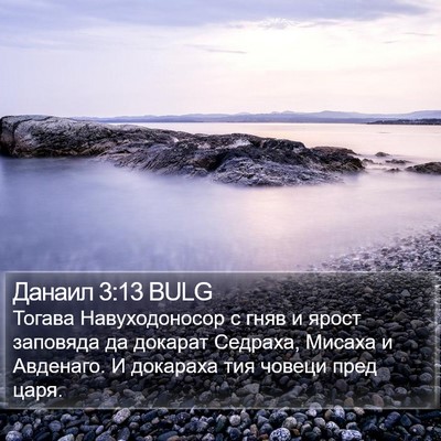 Данаил 3:13 BULG Bible Verse Image