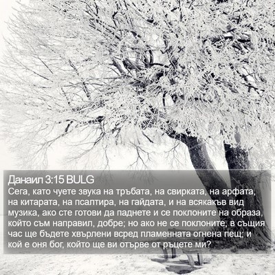 Данаил 3:15 BULG Bible Verse Image