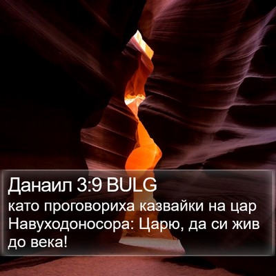 Данаил 3:9 BULG Bible Verse Image