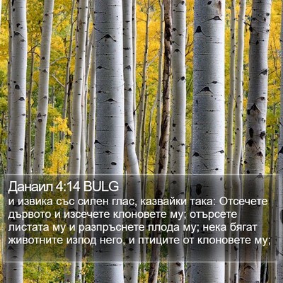 Данаил 4:14 BULG Bible Verse Image
