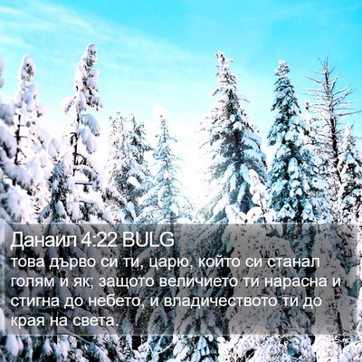 Данаил 4:22 BULG Bible Verse Image