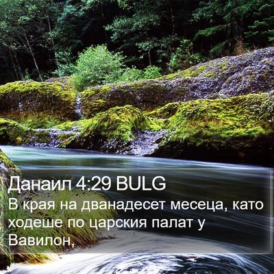 Данаил 4:29 BULG Bible Verse Image