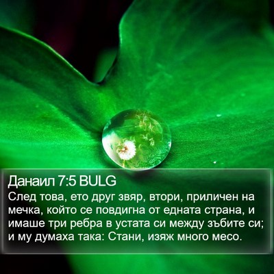 Данаил 7:5 BULG Bible Verse Image