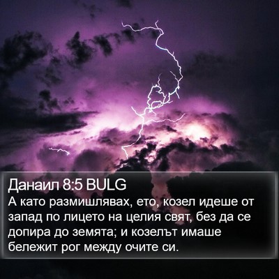 Данаил 8:5 BULG Bible Verse Image