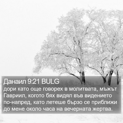Данаил 9:21 BULG Bible Verse Image