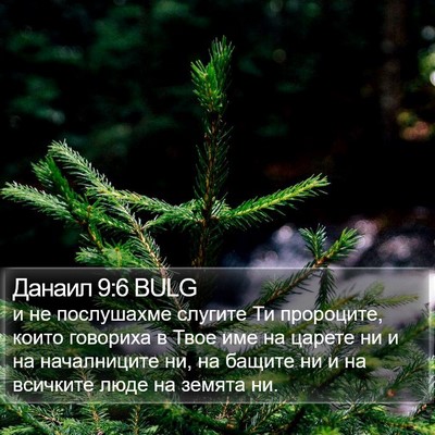 Данаил 9:6 BULG Bible Verse Image