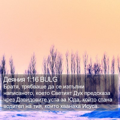 Деяния 1:16 BULG Bible Verse Image