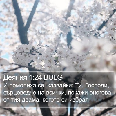 Деяния 1:24 BULG Bible Verse Image