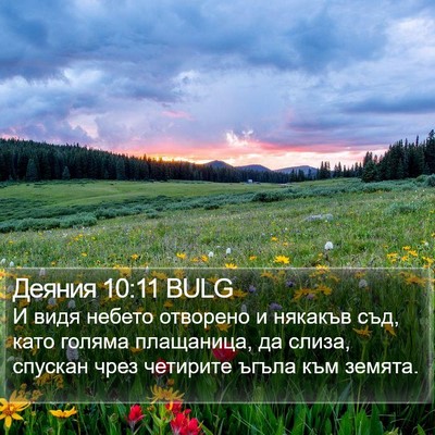 Деяния 10:11 BULG Bible Verse Image