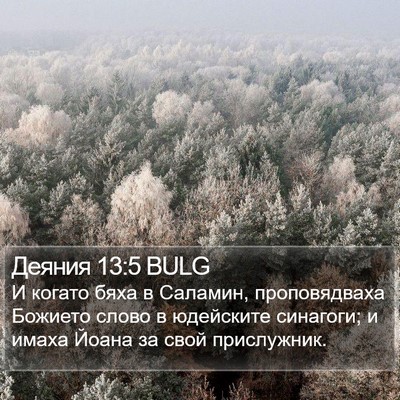 Деяния 13:5 BULG Bible Verse Image