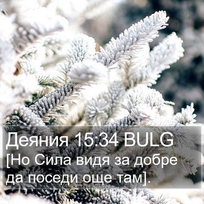 Деяния 15:34 BULG Bible Verse Image