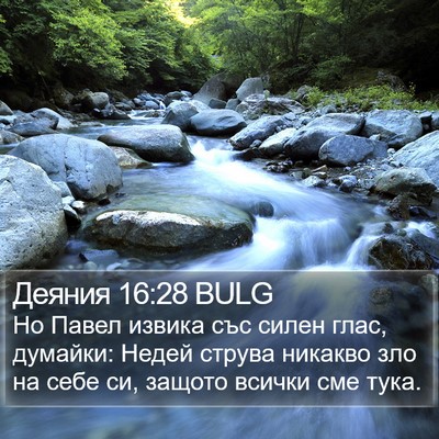 Деяния 16:28 BULG Bible Verse Image