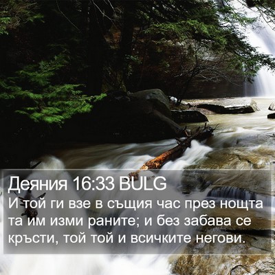 Деяния 16:33 BULG Bible Verse Image