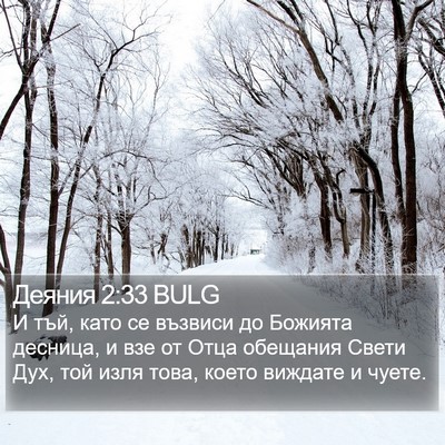 Деяния 2:33 BULG Bible Verse Image