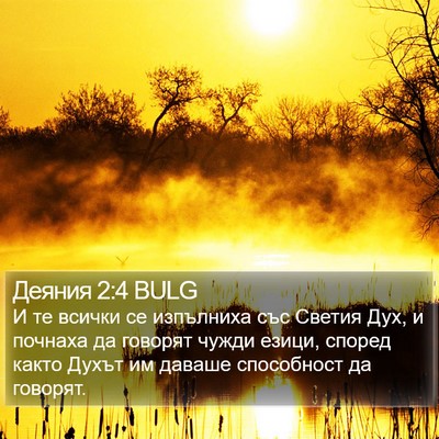 Деяния 2:4 BULG Bible Verse Image