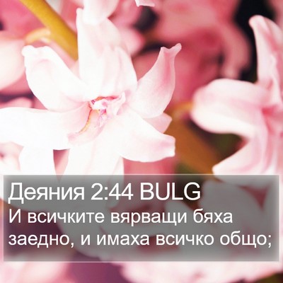 Деяния 2:44 BULG Bible Verse Image