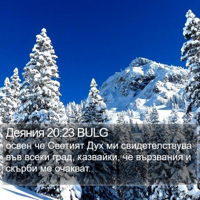 Деяния 20:23 BULG Bible Verse Image