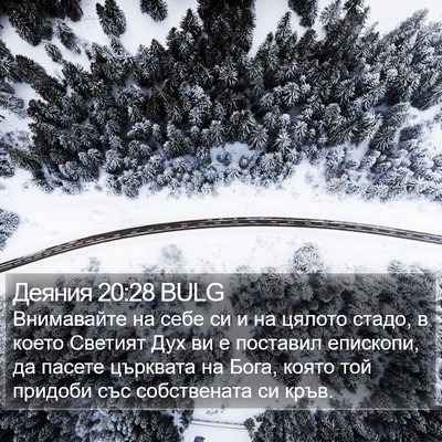 Деяния 20:28 BULG Bible Verse Image