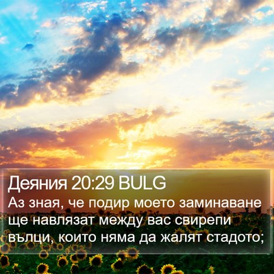 Деяния 20:29 BULG Bible Verse Image
