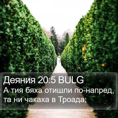 Деяния 20:5 BULG Bible Verse Image