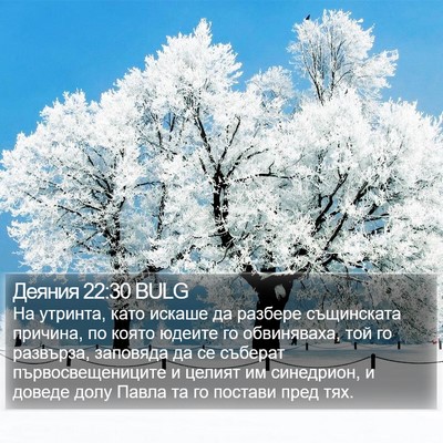 Деяния 22:30 BULG Bible Verse Image