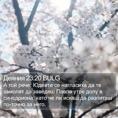 Деяния 23:20 BULG Bible Verse Image